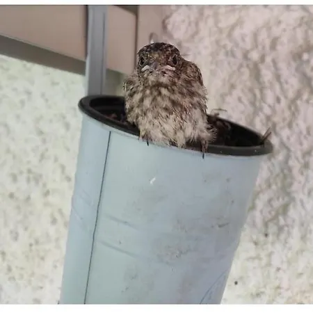 Kaméleon Ev Töltéssel Appartamento